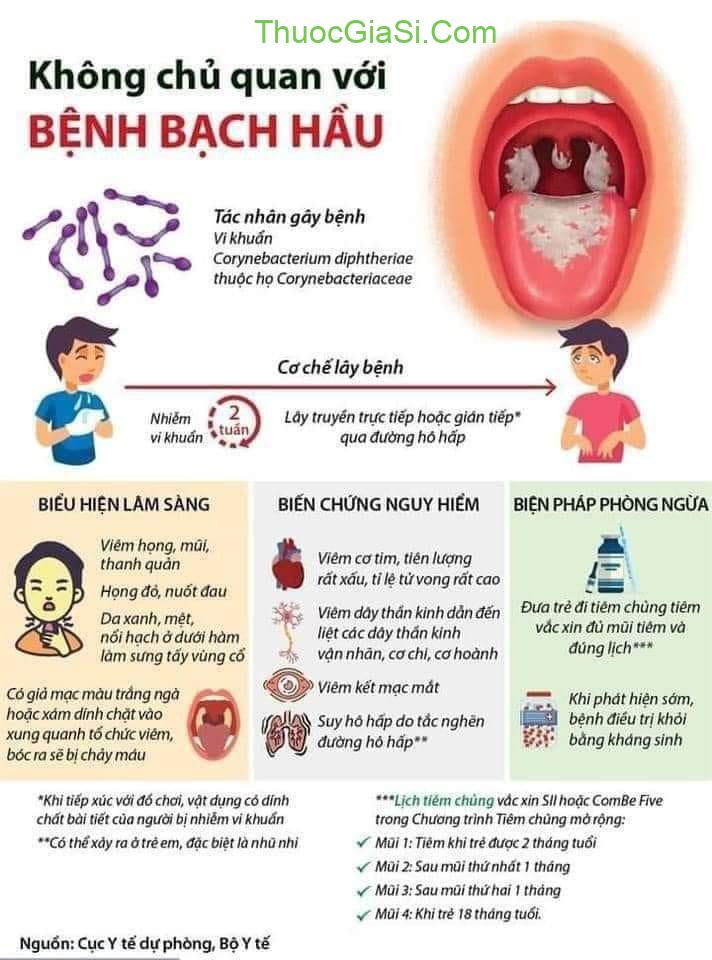 nguyen nhan trieu chung cach phong chong dich benh bach hau 2195 3
