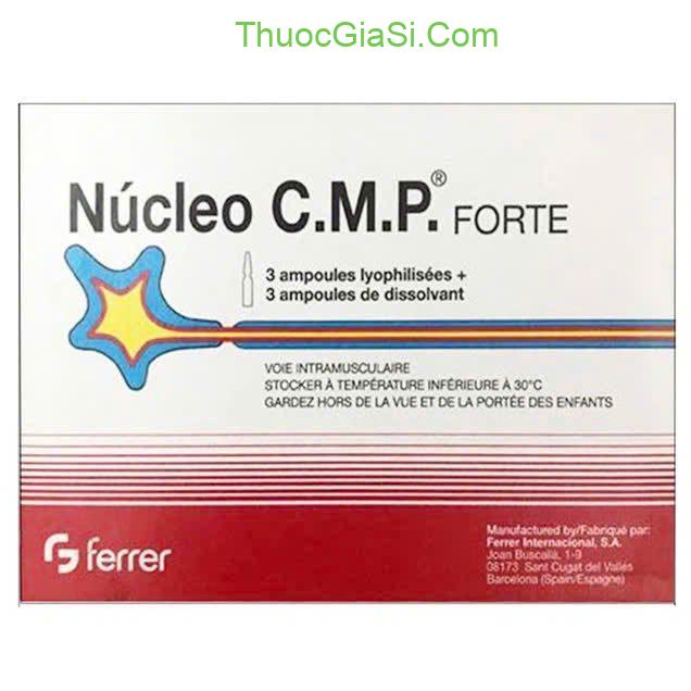 Nucleo Núcleo C.M.P. Forte|thuocgiasi.com