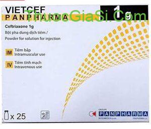 ceftriaxone-1g-panpharma diều trị nhiễm khuẩn|thuocgiasi.com
