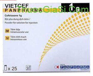 ceftriaxone-1g-panpharma-dieu-tri-nhiem-khuan-do-2896-2 ceftriaxone-1g-panpharma diều trị nhiễm khuẩn|thuocgiasi.com