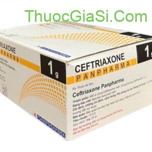 Ceftriaxone 1g – Panpharma|thuocgiasi.com
