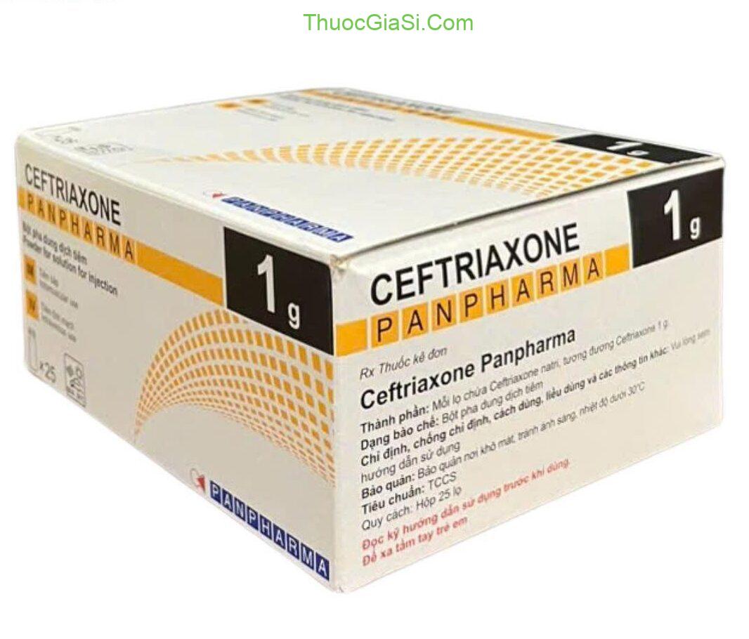 ceftriaxone-1g-panpharma-dieu-tri-nhiem-khuan-do-2896-3 Ceftriaxone 1g – Panpharma|thuocgiasi.com
