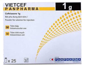 Ceftriaxone 1g – Panpharma|thuocgiasi.com