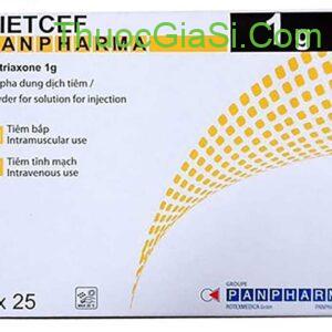 Ceftriaxone 1g – Panpharma|thuocgiasi.com