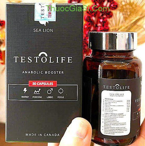 Testolife Testolife