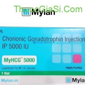 ivf hcg 5000iu thuoc kich trung dieu tri hiem muon neova dieu tri vo sinh o nu gioi 5379 2