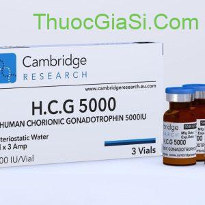 IVF HCG 5000IU (Thuốc IVF Chorionic) thuốc kích trứng, điều trị hiếm muộn Neova, điều trị vô sinh ở nữ giới 5 ivf hcg 5000iu thuoc kich trung dieu tri hiem muon neova dieu tri vo sinh o nu gioi 5379 4 e1758805212778