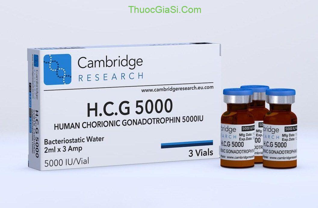 ivf-hcg-5000iu-thuoc-kich-trung-dieu-tri-hiem-muon-neova-dieu-tri-vo-sinh-o-nu-gioi-5379-4-e1748700400489.jpg ivf hcg 5000iu thuoc kich trung dieu tri hiem muon neova dieu tri vo sinh o nu gioi 5379 4 e1758805212778