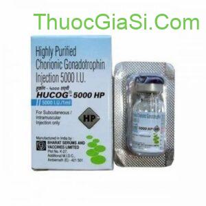 IVF HCG 5000IU (Thuốc IVF Chorionic) thuốc kích trứng, điều trị hiếm muộn Neova, điều trị vô sinh ở nữ giới 2 ivf hcg 5000iu thuoc kich trung dieu tri hiem muon neova dieu tri vo sinh o nu gioi 5379 6