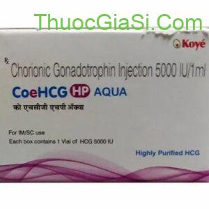 IVF HCG 5000IU (Thuốc IVF Chorionic) thuốc kích trứng, điều trị hiếm muộn Neova, điều trị vô sinh ở nữ giới 3 ivf hcg 5000iu thuoc kich trung dieu tri hiem muon neova dieu tri vo sinh o nu gioi 5379 7