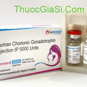 ivf hcg 5000iu thuoc kich trung dieu tri hiem muon neova dieu tri vo sinh o nu gioi 5379 8