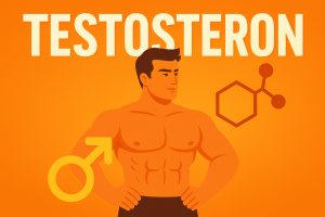 Testosteron là gì? Công dụng – Dấu hiệu thiếu – Cách tăng tự nhiên & bằng thuốc