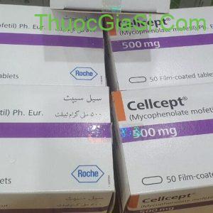 Cellcept 500mg (Mycophenolic acid) Roche dự phòng thải ghép thận, ghép tim (5 vỉ x 10 viên)