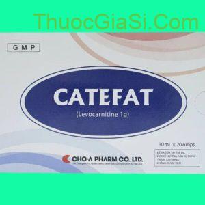 Catefat 1g (Levocarnitine) Hộp 20 ống x 10ml