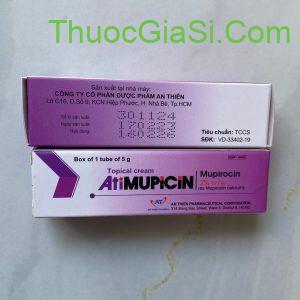 Atmupicin (Mupirocin 2%) An Thiên tube 5g