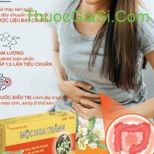 Mộc Hoa Trắng VCP điều trị đại tràng cấp tính