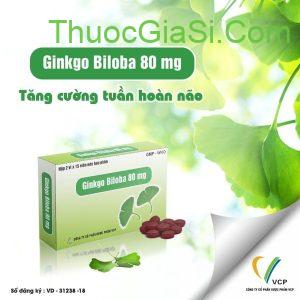 Ginkgo Biloba 80mg VCP tăng tuần hoàn não, điều trị mất trí nhớ